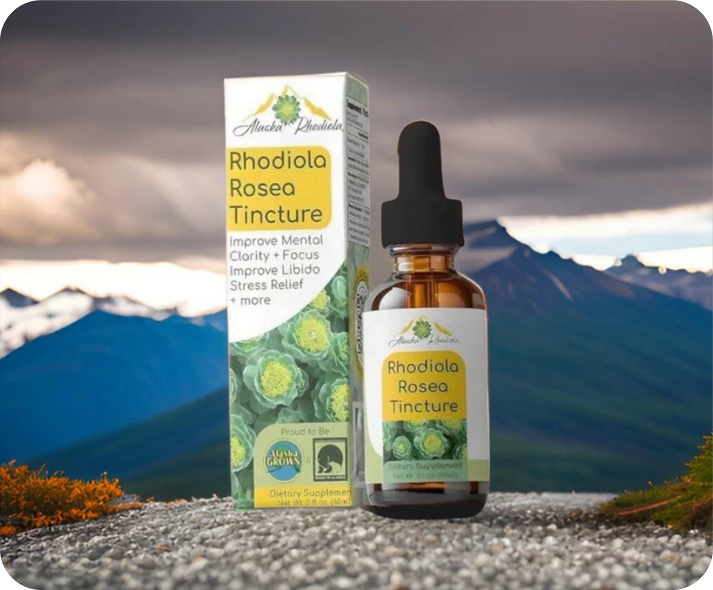 Rhodiola Rosea Tincture – Natural Stress & Energy Support (2 oz)